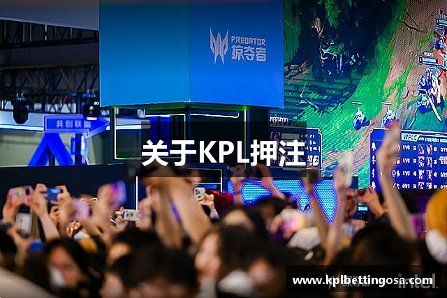 关于KPL押注
